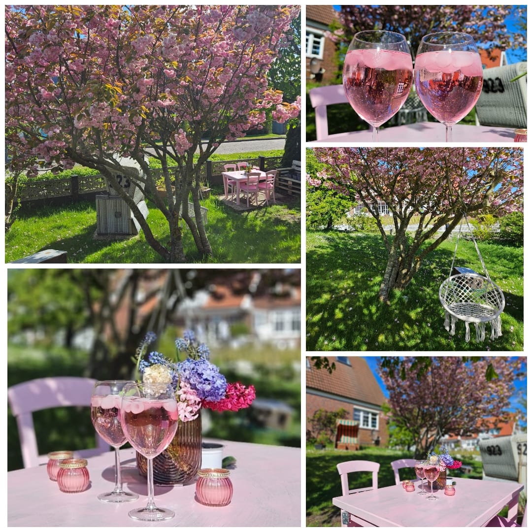 collage.jpg